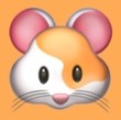 5g影院APP应用